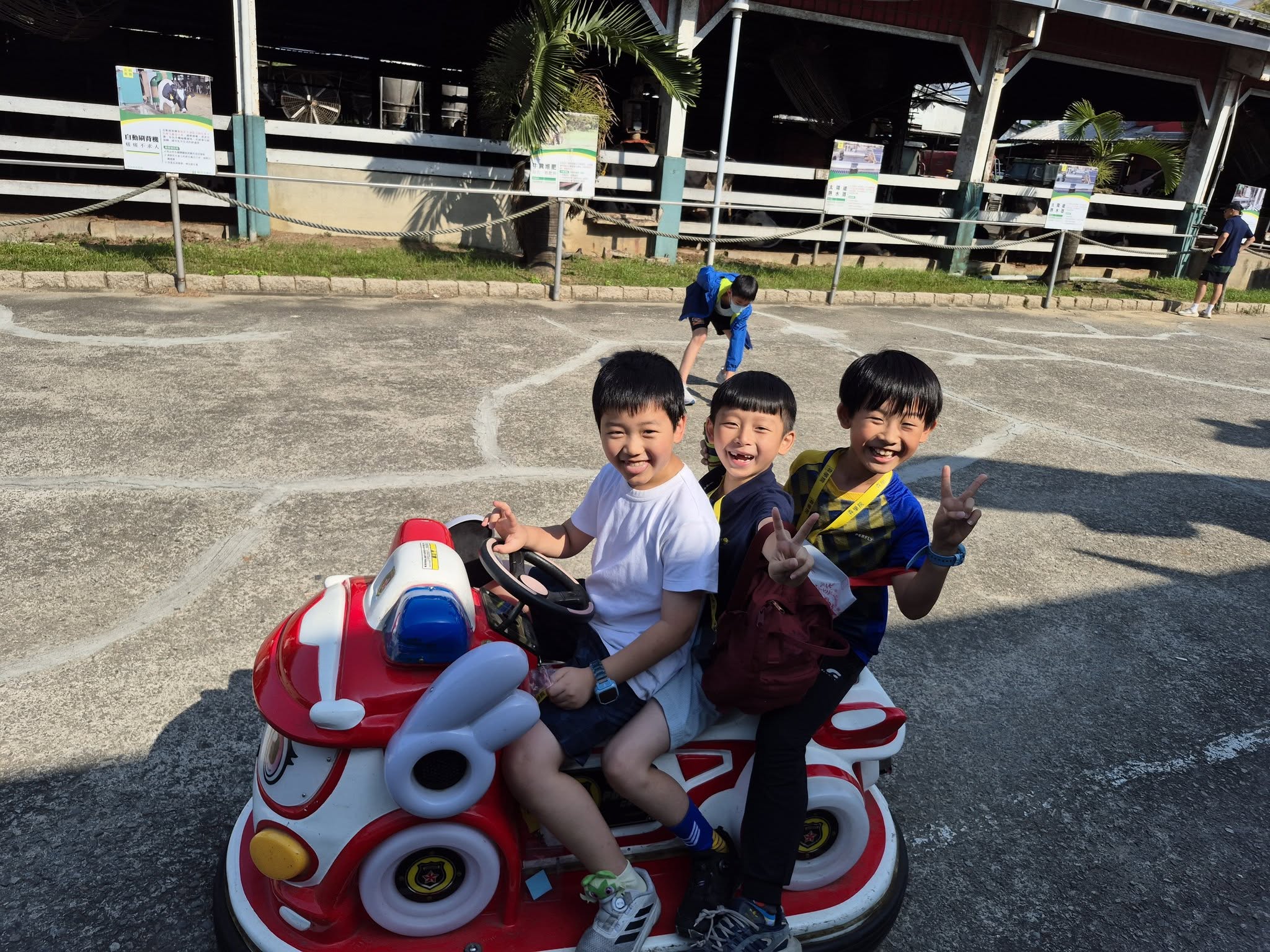 霪雨霏霏這幾天